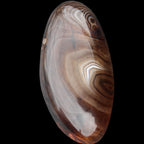 Crazy Lace Agate 52*27*14mm 40g in sunlight - Rocks and Things Store