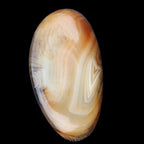 Crazy Lace Agate 52*27*14mm 40g in sunlight - Rocks and Things Store