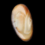 Crazy Lace Agate 52*27*14mm 40g in sunlight - Rocks and Things Store
