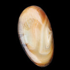 Crazy Lace Agate 52*27*14mm 40g in sunlight - Rocks and Things Store