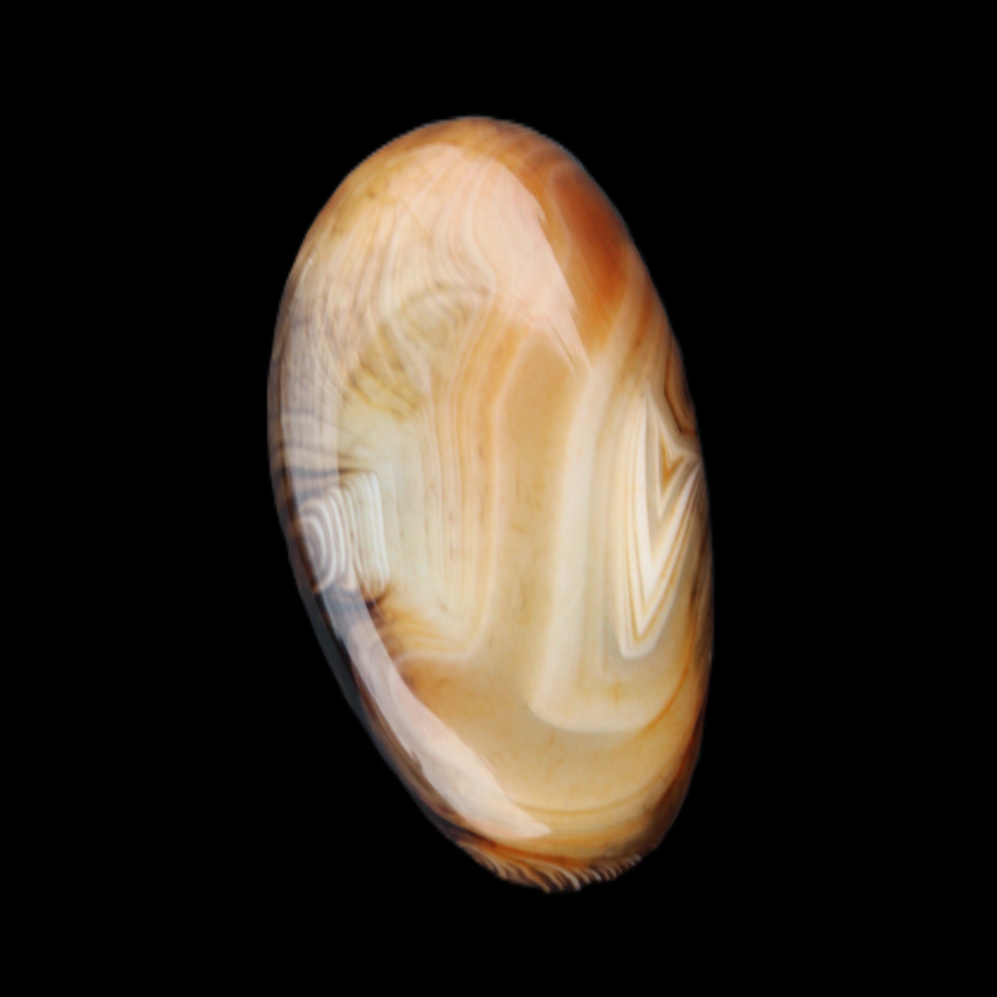 Crazy Lace Agate 52*27*14mm 40g in sunlight - Rocks and Things Store