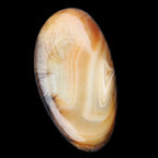 Crazy Lace Agate 52*27*14mm 40g in sunlight - Rocks and Things Store