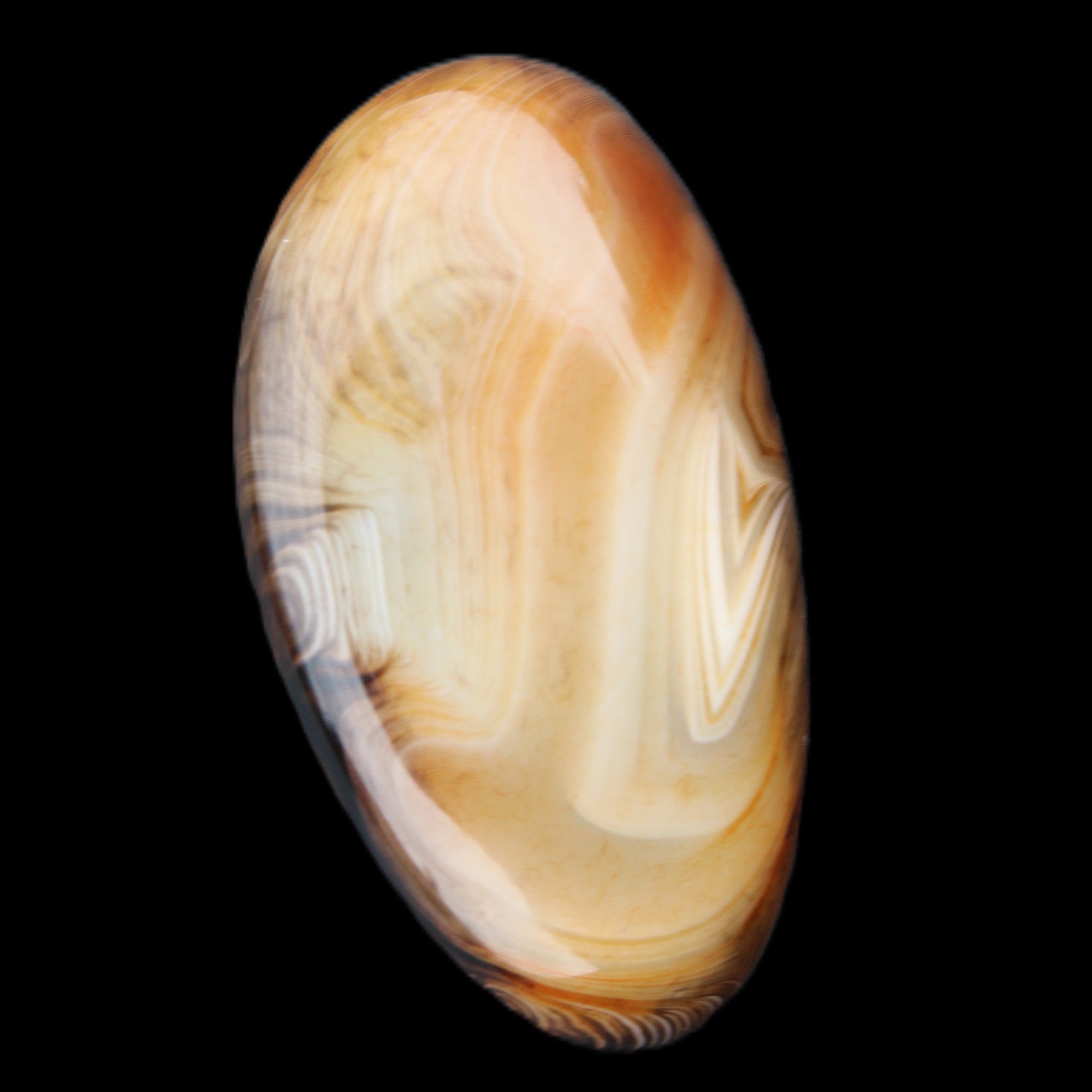 Crazy Lace Agate 52*27*14mm 40g in sunlight - Rocks and Things Store