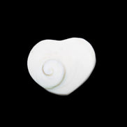 Orthoceras Polished heart 30-37mm 4-7g in sunlight - Rocks and Things Store