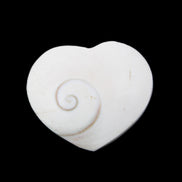 Orthoceras Polished heart 30-37mm 4-7g in sunlight - Rocks and Things Store