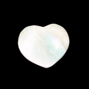 Orthoceras Polished heart 30-37mm 4-7g in sunlight - Rocks and Things Store