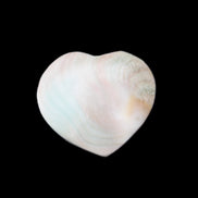 Orthoceras Polished heart 30-37mm 4-7g in sunlight - Rocks and Things Store