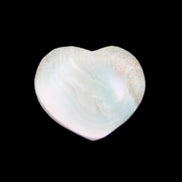 Orthoceras Polished heart 30-37mm 4-7g in sunlight - Rocks and Things Store