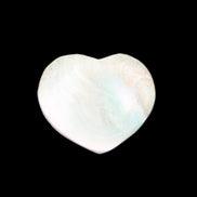 Orthoceras Polished heart 30-37mm 4-7g in sunlight - Rocks and Things Store