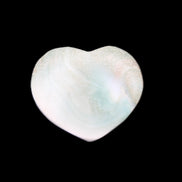 Orthoceras Polished heart 30-37mm 4-7g in sunlight - Rocks and Things Store