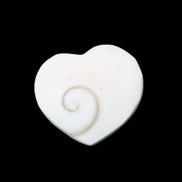 Orthoceras Polished heart 30-37mm 4-7g in sunlight - Rocks and Things Store