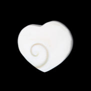 Orthoceras Polished heart 30-37mm 4-7g in sunlight - Rocks and Things Store