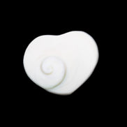 Orthoceras Polished heart 30-37mm 4-7g in sunlight - Rocks and Things Store