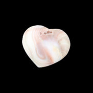 Orthoceras Polished heart 30-37mm 4-7g in sunlight - Rocks and Things Store