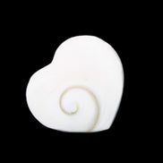 Orthoceras Polished heart 30-37mm 4-7g in sunlight - Rocks and Things Store