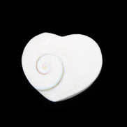 Orthoceras Polished heart 30-37mm 4-7g in sunlight - Rocks and Things Store