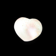 Orthoceras Polished heart 30-37mm 4-7g in sunlight - Rocks and Things Store