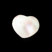 Orthoceras Polished heart 30-37mm 4-7g in sunlight - Rocks and Things Store