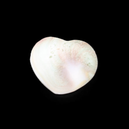Orthoceras Polished heart 30-37mm 4-7g in sunlight - Rocks and Things Store