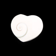 Orthoceras Polished heart 30-37mm 4-7g in sunlight - Rocks and Things Store