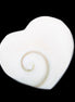 Orthoceras Polished heart 30-37mm 4-7g in sunlight - Rocks and Things Store