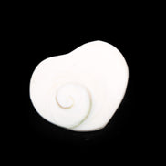 Orthoceras Polished heart 30-37mm 4-7g in sunlight - Rocks and Things Store