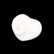 Orthoceras Polished heart 30-37mm 4-7g in sunlight - Rocks and Things Store