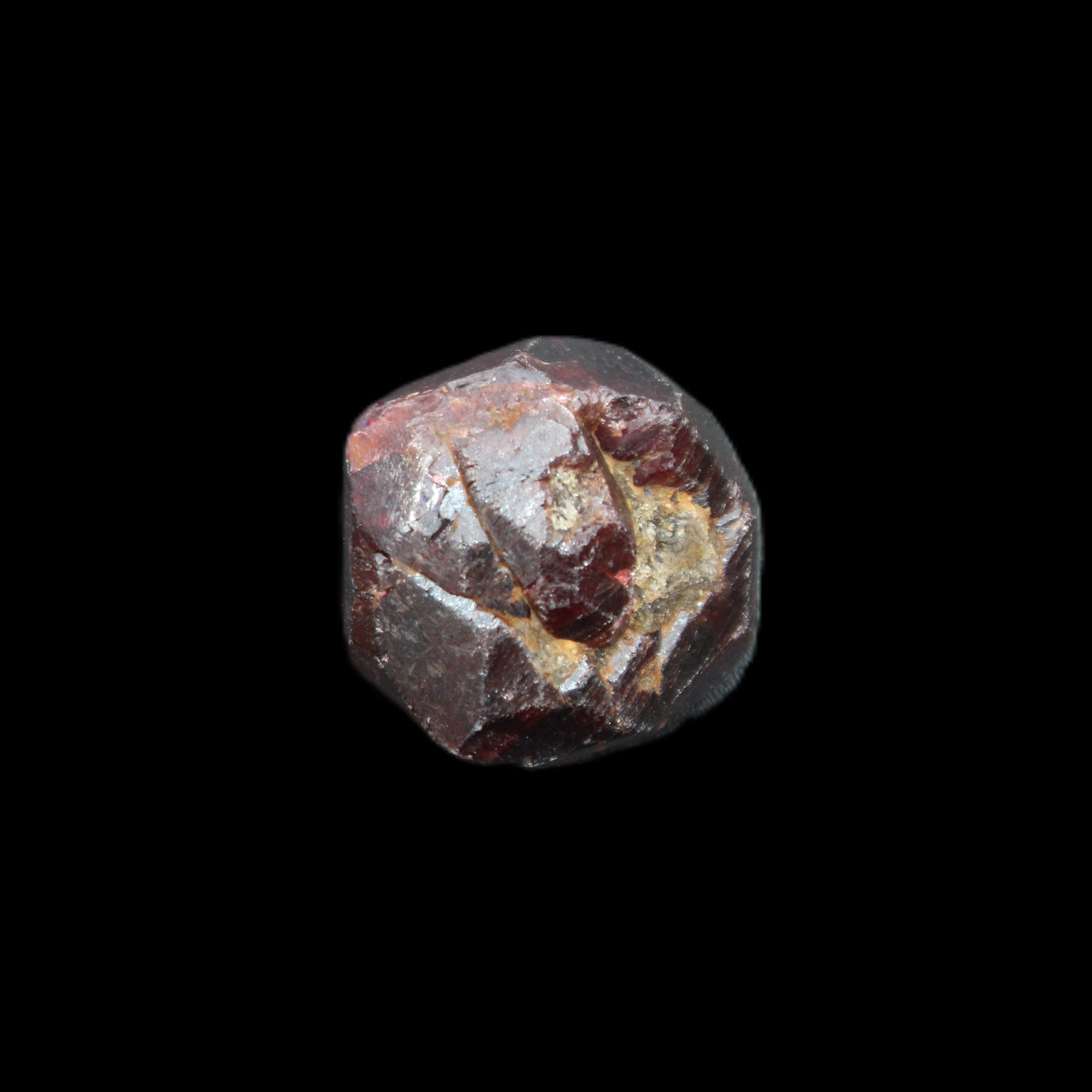Red Pyrope Garnet crystal 25mm 19g in sunlight - Rocks and Things Store
