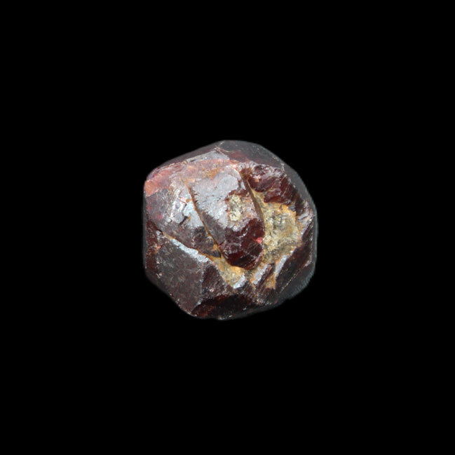 Red Pyrope Garnet crystal 25mm 19g in sunlight - Rocks and Things Store