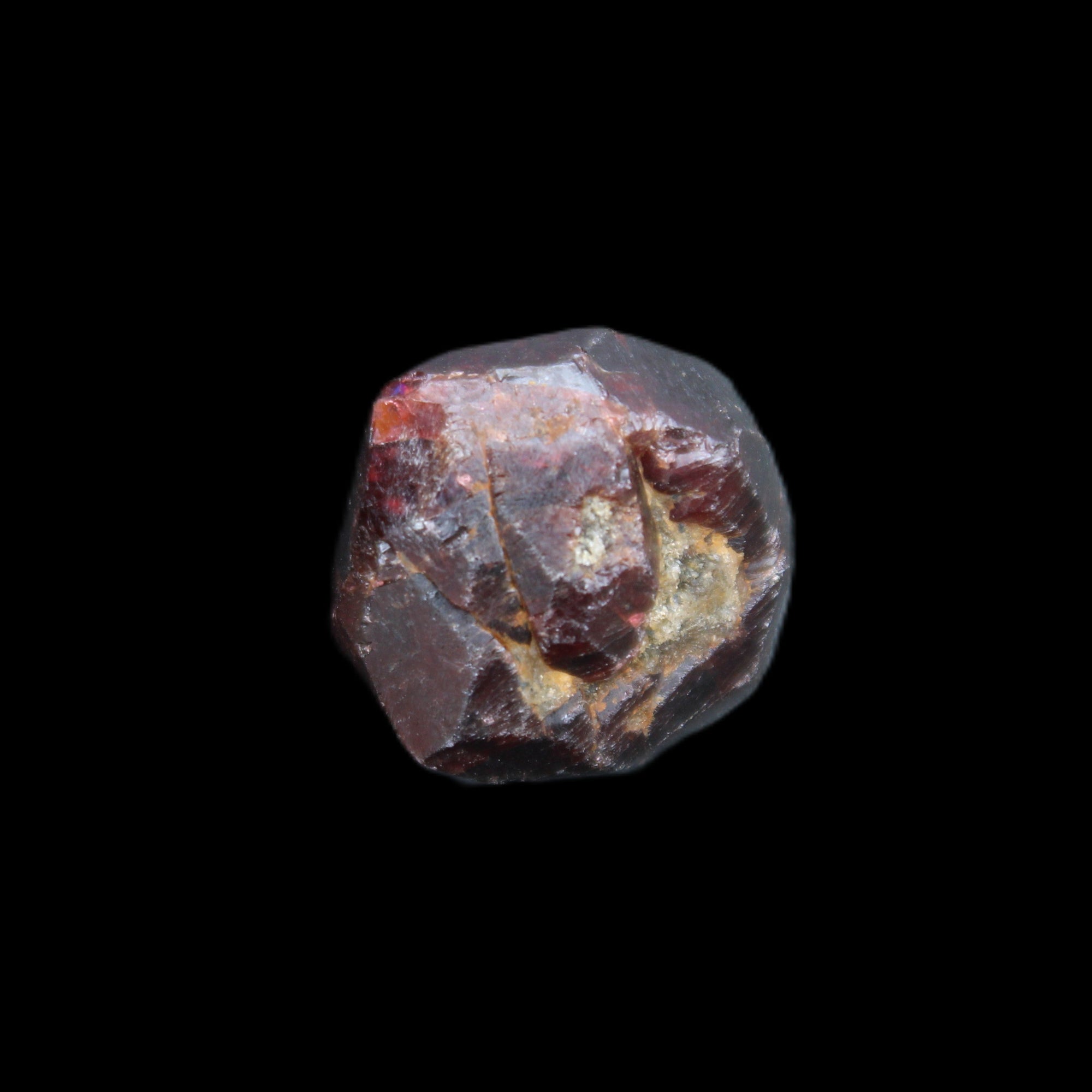 Red Pyrope Garnet crystal 25mm 19g in sunlight - Rocks and Things Store