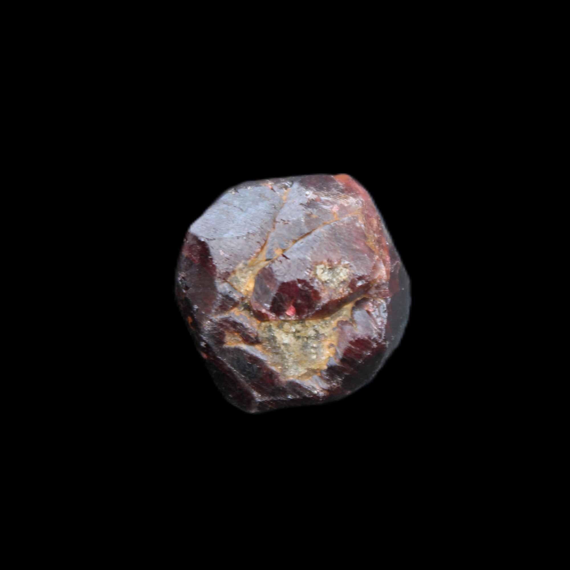 Red Pyrope Garnet crystal 25mm 19g in sunlight - Rocks and Things Store