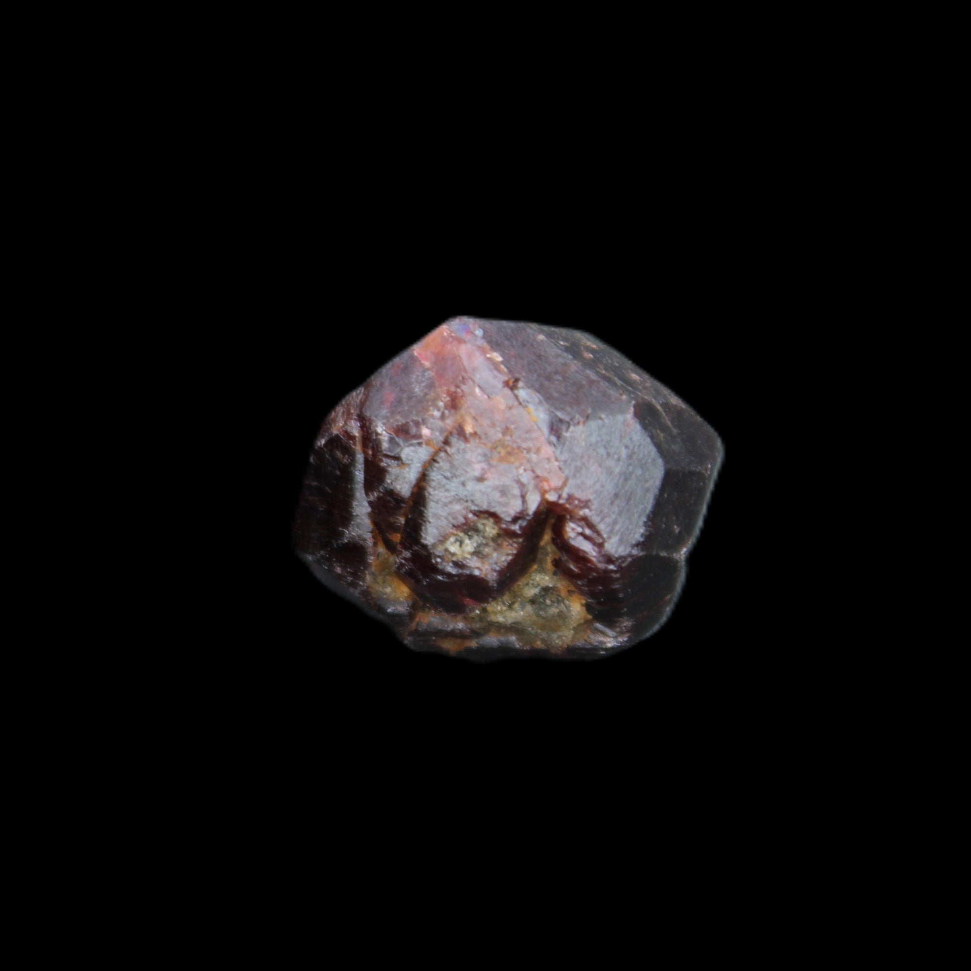 Red Pyrope Garnet crystal 25mm 19g in sunlight - Rocks and Things Store