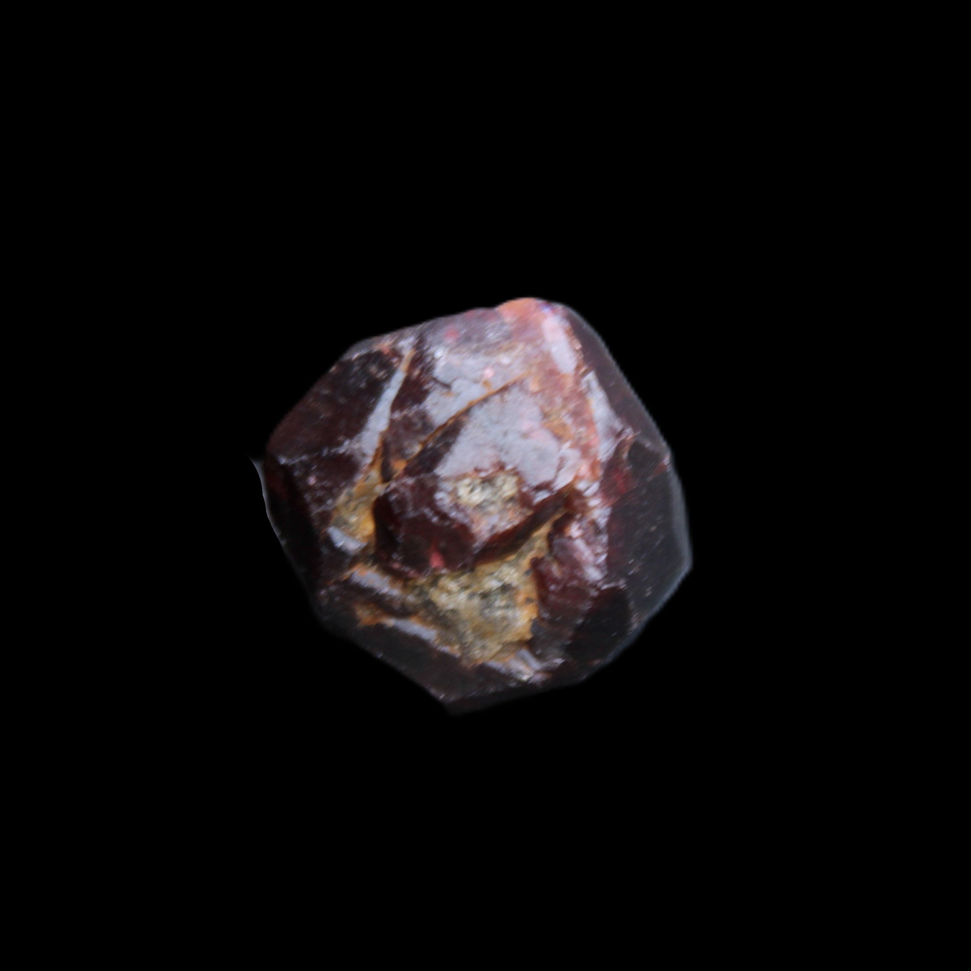 Red Pyrope Garnet crystal 25mm 19g in sunlight - Rocks and Things Store
