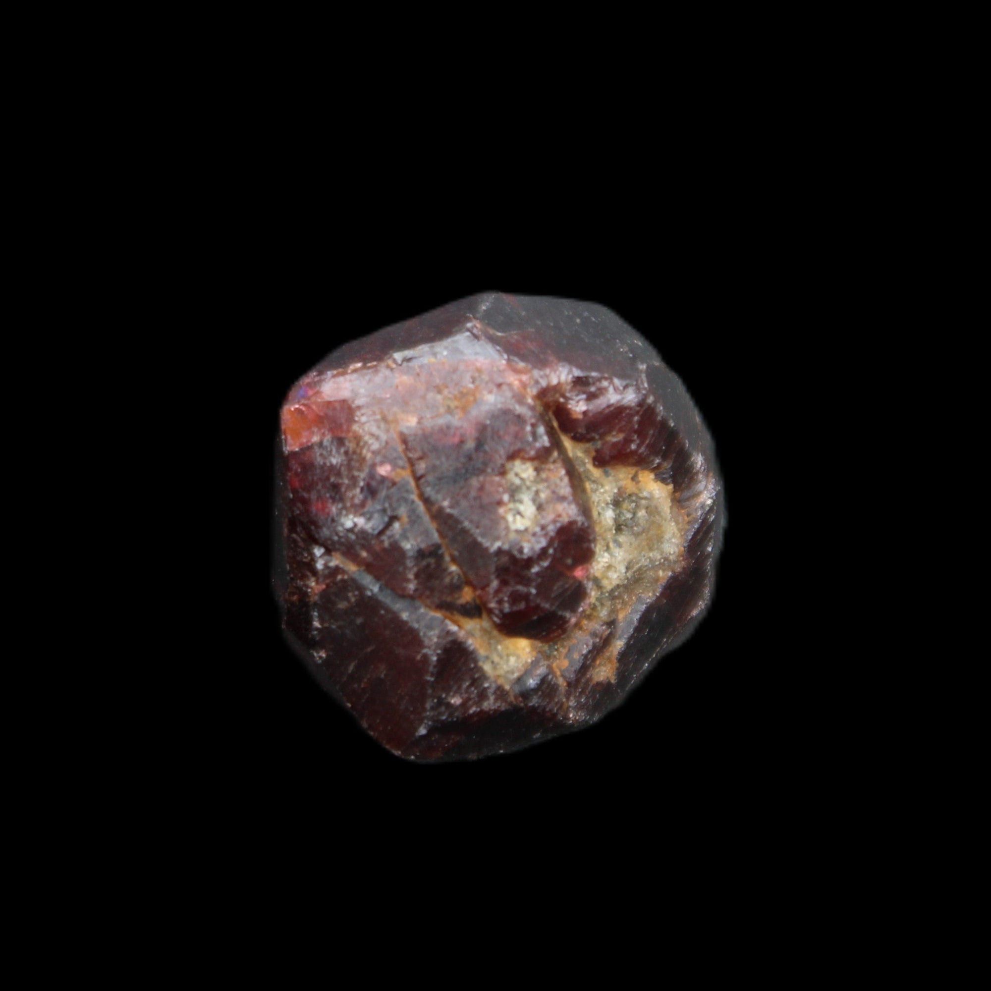 Red Pyrope Garnet crystal 25mm 19g in sunlight - Rocks and Things Store