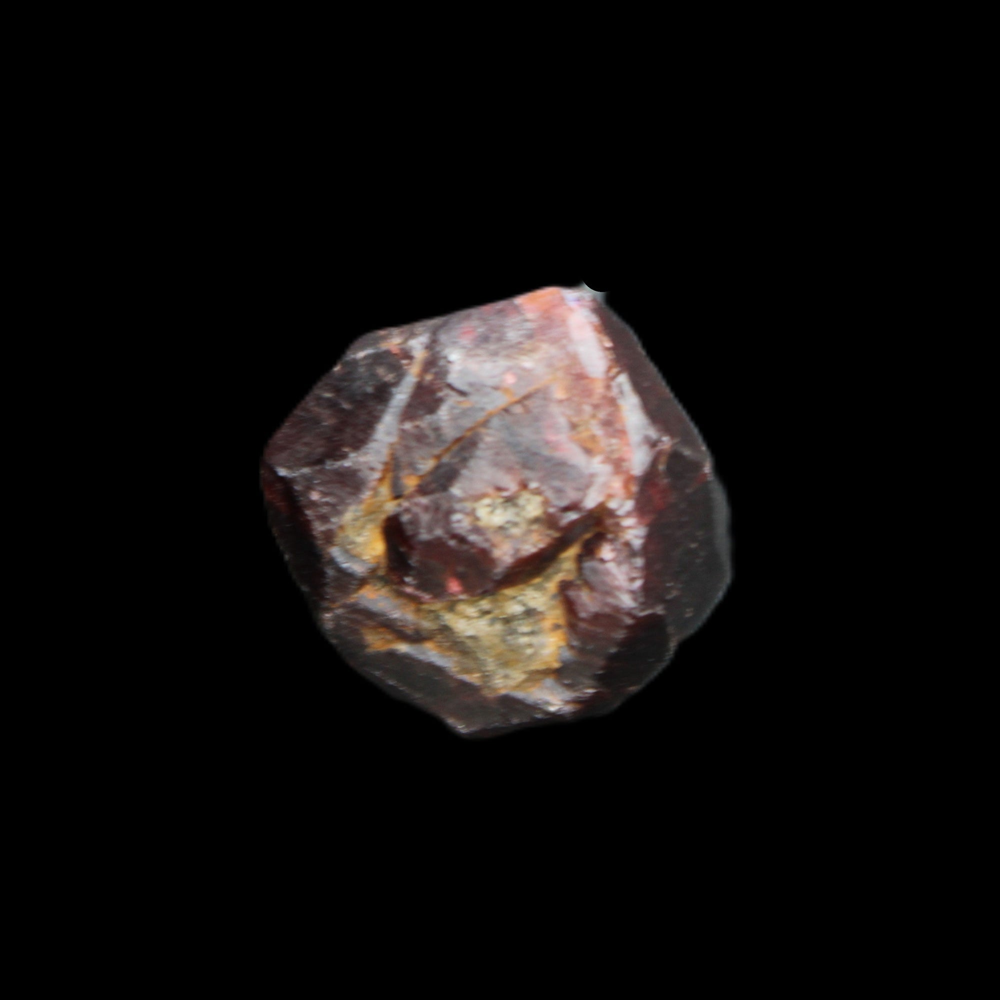 Red Pyrope Garnet crystal 25mm 19g in sunlight - Rocks and Things Store