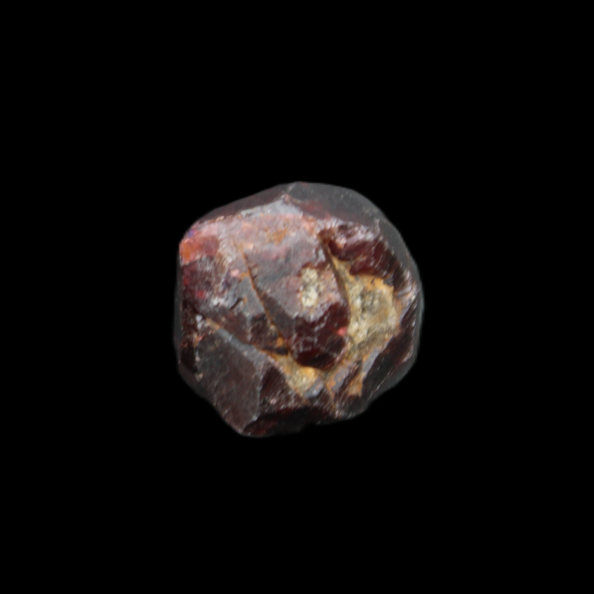 Red Pyrope Garnet crystal 25mm 19g in sunlight - Rocks and Things Store