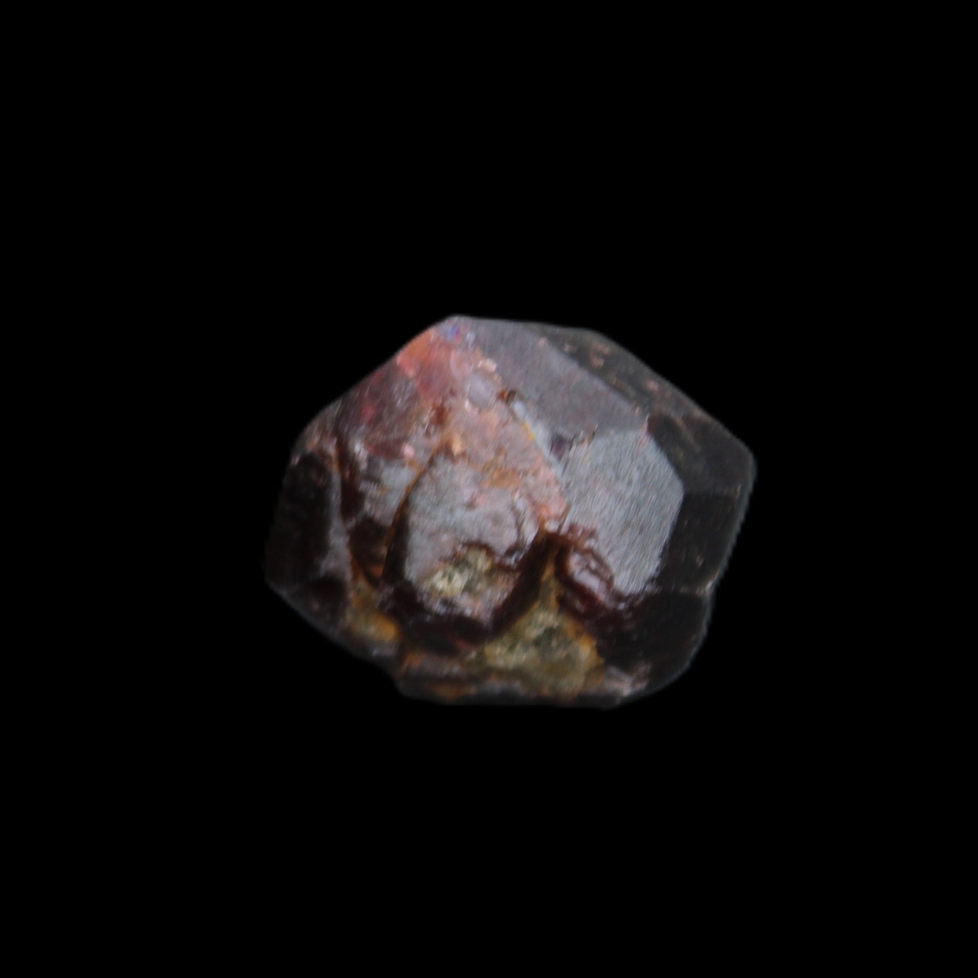 Red Pyrope Garnet crystal 25mm 19g in sunlight - Rocks and Things Store