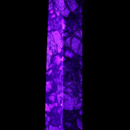 Llanite Que Sera Stone wand 89mm 75g in UV light - Rocks and Things Store