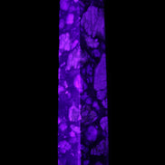 Llanite Que Sera Stone wand 89mm 75g in UV light - Rocks and Things Store
