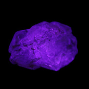 Fenster Golden Diamond Quartz with hydrocarbons & enhydros 33-50mm 10-14.3g in UV light - Rocks and Things Store