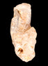 Fenster Golden Diamond Quartz with hydrocarbons & enhydros 33-50mm 10-14.3g
