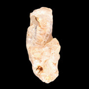 Fenster Golden Diamond Quartz with hydrocarbons & enhydros 33-50mm 10-14.3g