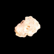 Fenster Golden Diamond Quartz with hydrocarbons & enhydros 33-50mm 10-14.3g