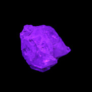 Fenster Golden Diamond Quartz with hydrocarbons & enhydros 23-30mm  8.9-11.4g in UV light -Rocks and Things Store