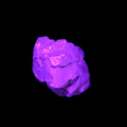 Fenster Golden Diamond Quartz with hydrocarbons & enhydros 23-30mm  8.9-11.4g in UV light -Rocks and Things Store