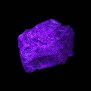 Fenster Golden Diamond Quartz with hydrocarbons & enhydros 23-30mm  8.9-11.4g in UV light -Rocks and Things Store