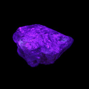 Fenster Golden Diamond Quartz with hydrocarbons & enhydros 23-30mm  8.9-11.4g in UV light -Rocks and Things Store
