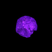 Fenster Golden Diamond Quartz with hydrocarbons & enhydros 23-30mm  8.9-11.4g in UV light -Rocks and Things Store