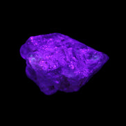 Fenster Golden Diamond Quartz with hydrocarbons & enhydros 23-30mm  8.9-11.4g in UV light -Rocks and Things Store