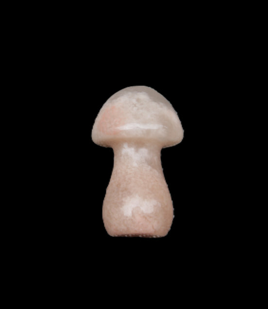 Strawberry Arusha Quartz mushroom  35*21*21mm 20g in sunlight - Rocks and Things Store
